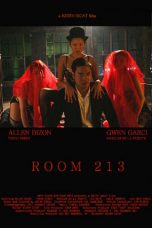 Room 213 (2008)